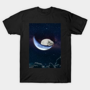 Cat sleeping on the moon T-Shirt